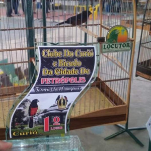Criadouro Sabará